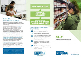 Salt and blood pressure brochure from Stroke Foundation NZ