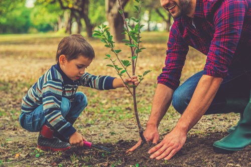 Dad planting tree with his small son