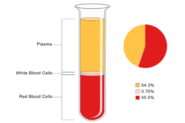 Components of blood and their percentages