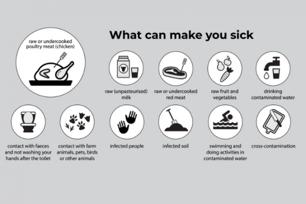 Ways to be exposed to campylobacter bacteria