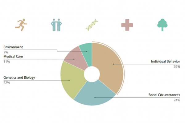 5 factors contributing to our health