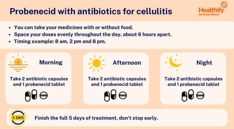 Infographic showing how to take probenecid with antibiotics