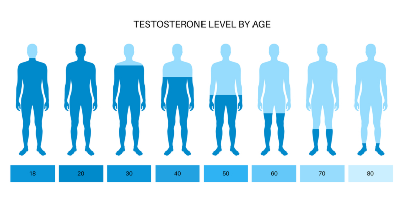 Image showing natural drop in testosterone levels from 18 years to 80