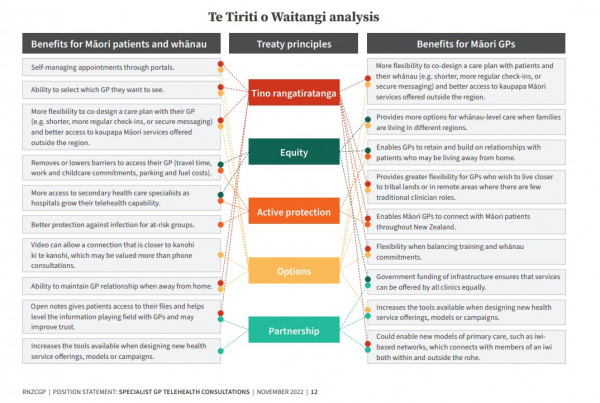 Infographic providing analysis of patient portals and open notes in relation to Te Tiriti o Waitangi