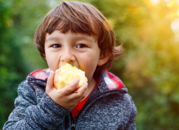 Brown-haired boy eating an apple