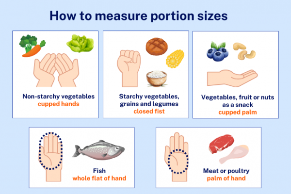 Infographic showing portion sizes of main food groups in relation to hand size