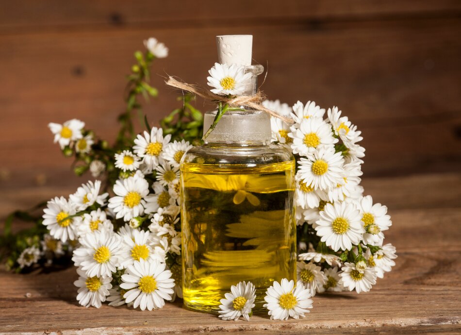 Bottle of essential oil with chamomile flowers