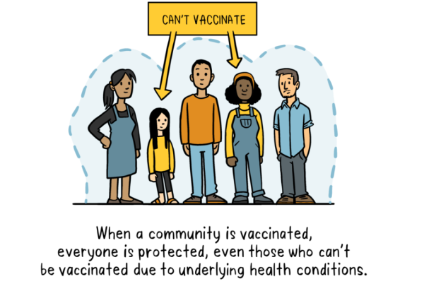 Herd immunity representation