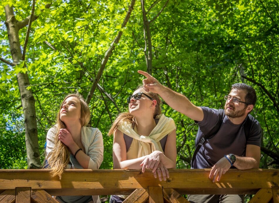 3 friends leaning on a bridge railing outdoors in nature
