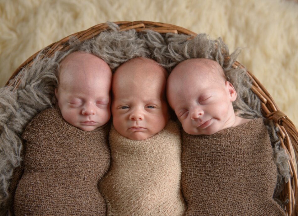 Adorable newborn triplets wrapped in brown swaddles