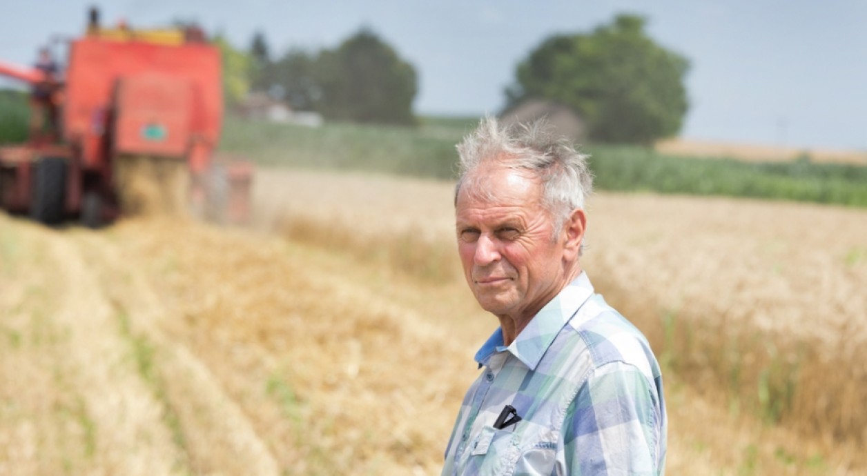 Farmer in cornfield no sun protection