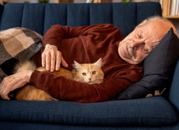 Man lying on couch with cat