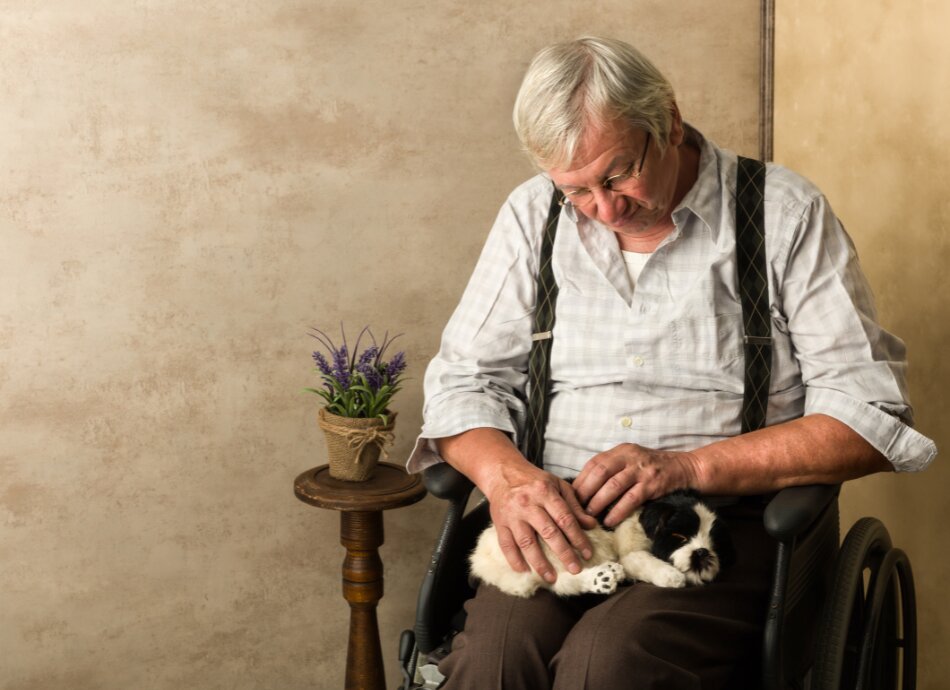 Older man in chair with puppy on knee canva 950x690