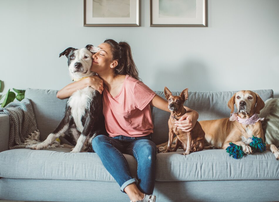 Woman on couch surrounded by her dogs