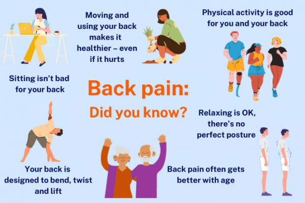 Infographic showing what won't injure your back