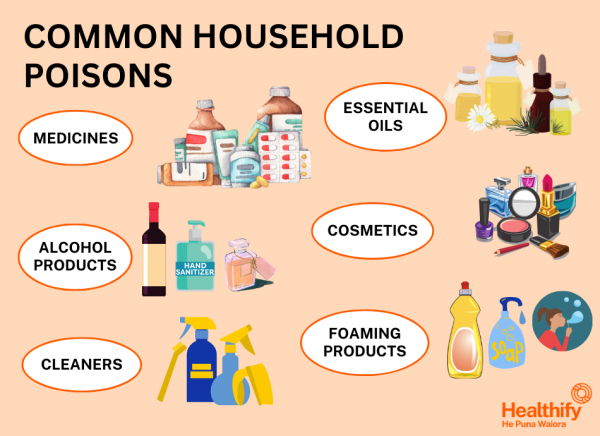 Infographic showing common household products that can be toxic