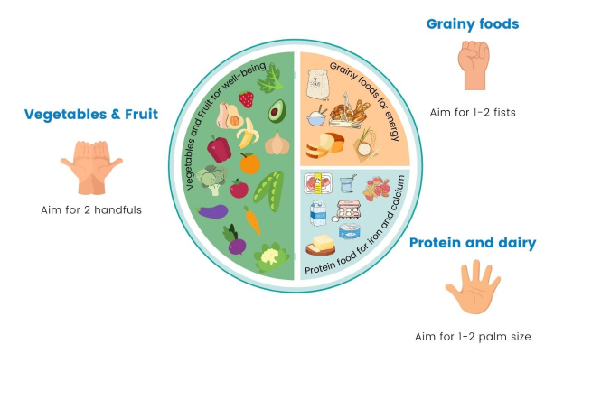 Image of a balanced plate of food