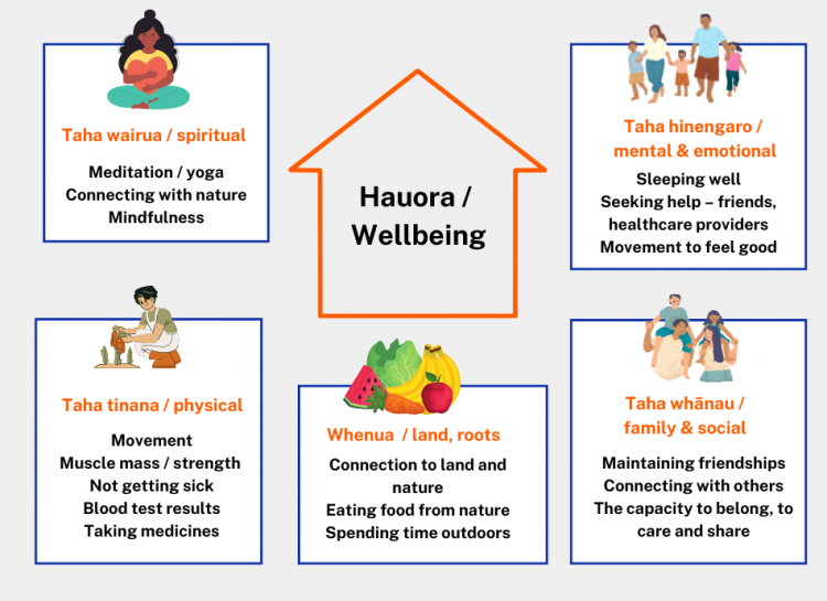 Te whare tapa whā model of health