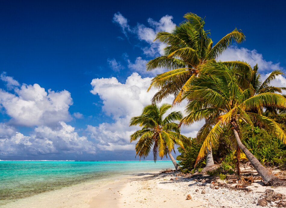 Cook Islands coast and palm trees