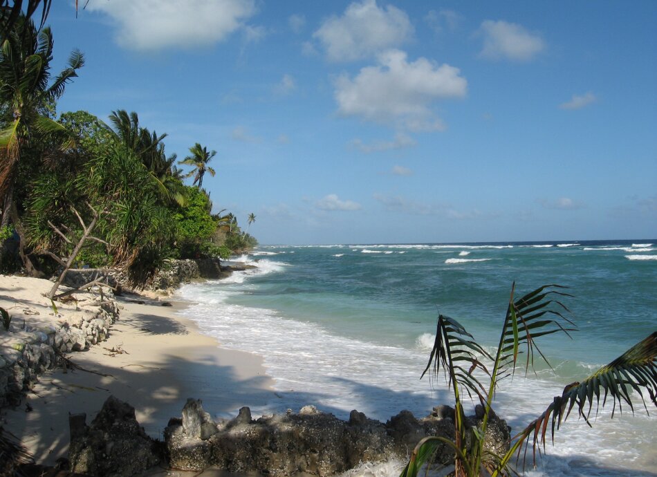 Kiribati beach with rolling sea and palm trees