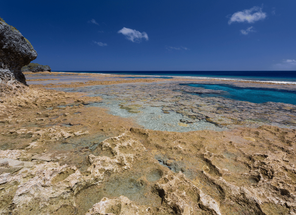 Niue coral shelf and pools 