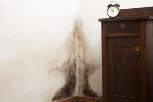 Mould in a corner of a home