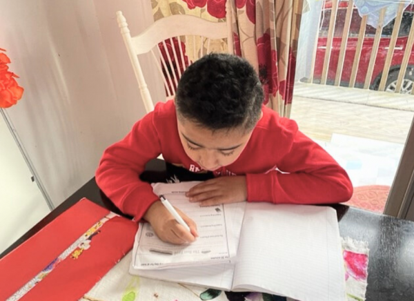 Young boy in red jumper doing his homework