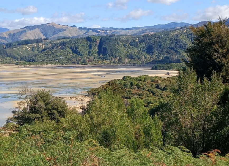 Hills and beach Abel Tasman National Park NZ HN 950x690