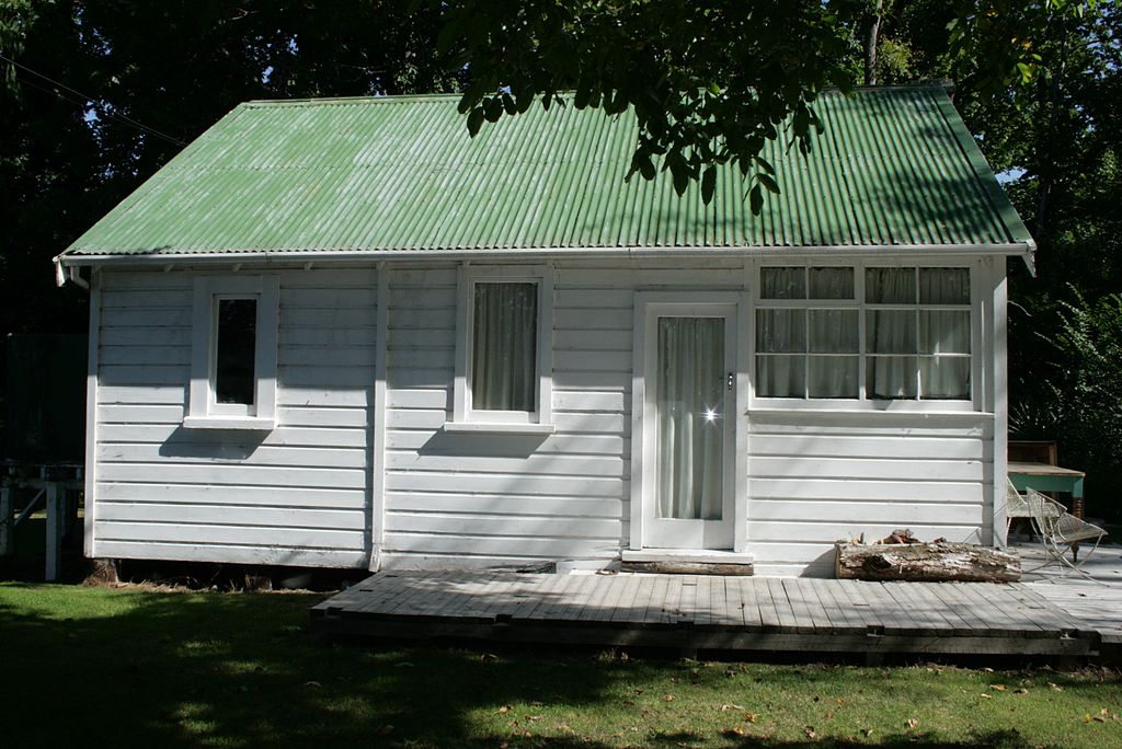 Kiwi bach Wikimedia Commons 