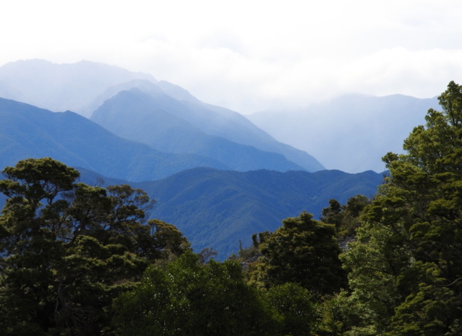 Mountains and bush scenery New Zealand