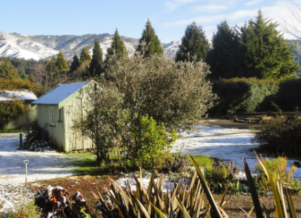 Winter garden with snow-covered ground and mountains New Zealand