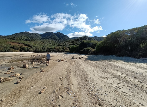 Young man Abel Tasman National Park NZ HN 950x690