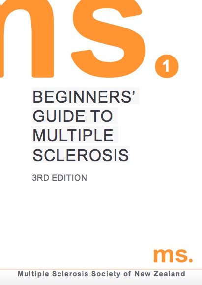 beginners guide to ms
