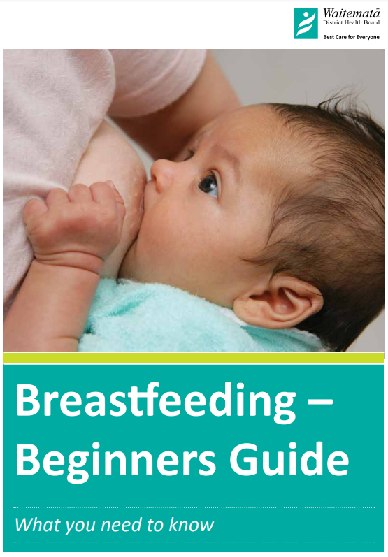 breastfeeding beginners guide brochure