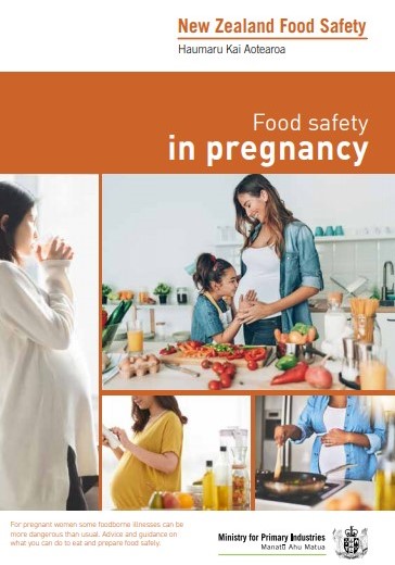 food safety in pregnancy