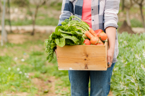 Woman carrying box of homegrown vegetables