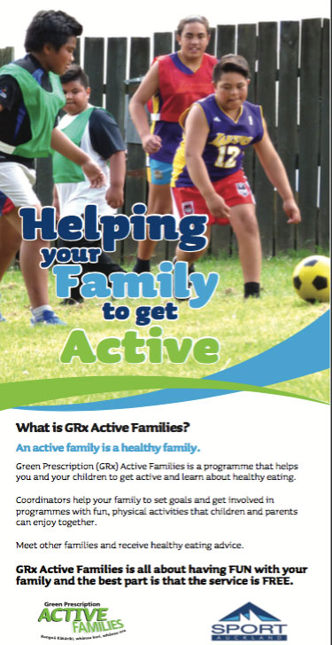 helping your family to get active moh nz