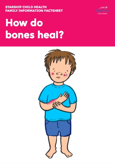 how do bones heal