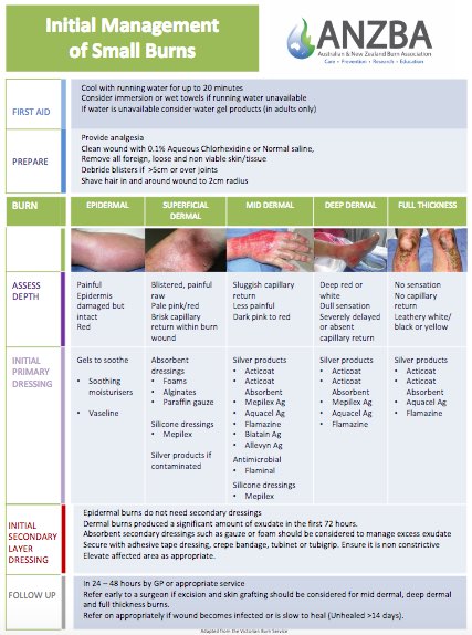initial management of small burns