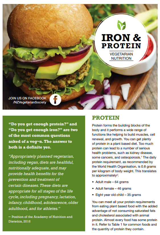 nutrition iron protein brochure