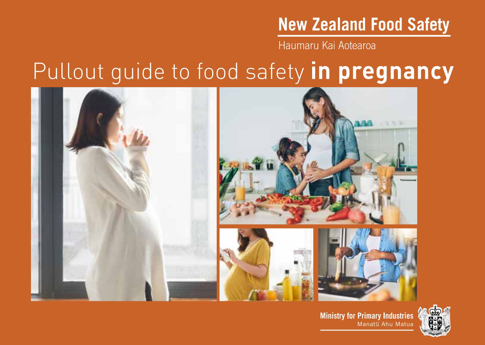 pullout guide to food safety in pregnancy 2020