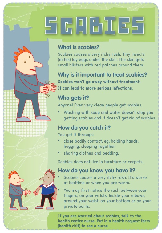 scabies tips