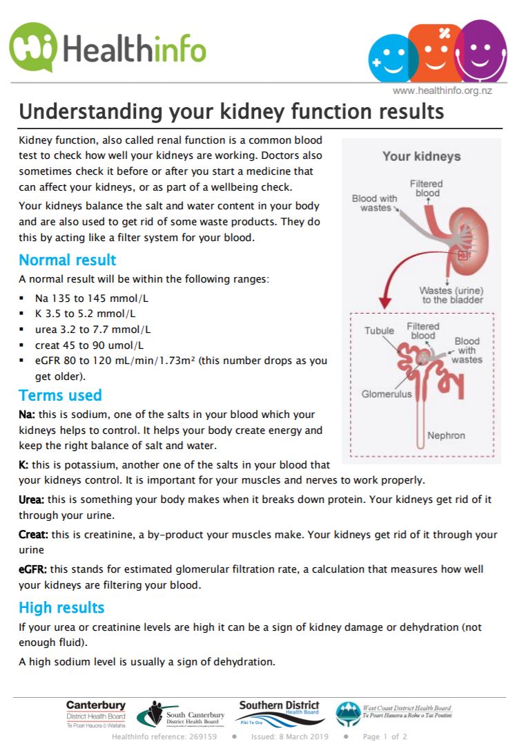 Kidney Function Blood Test Basic Information Healthify