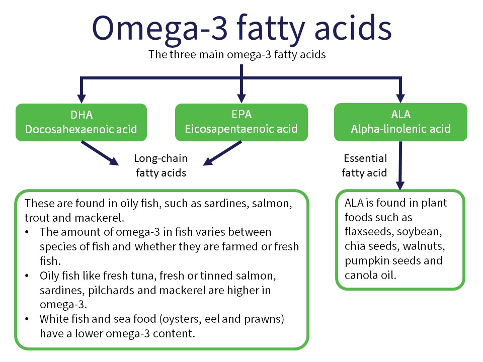 Fish and Omega 3 Fatty Acids fish thirstymag