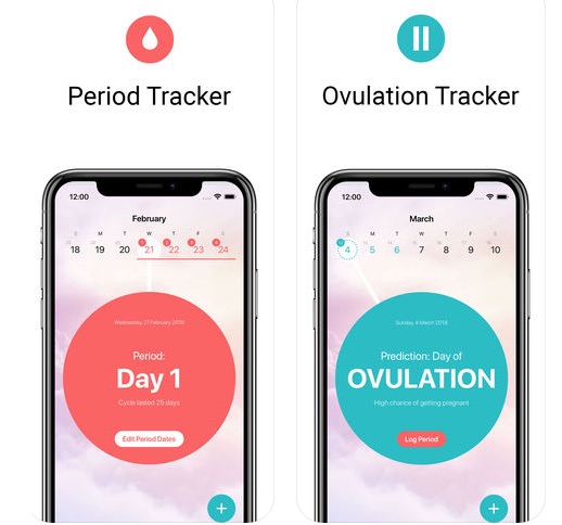 Period Tracker Flo app